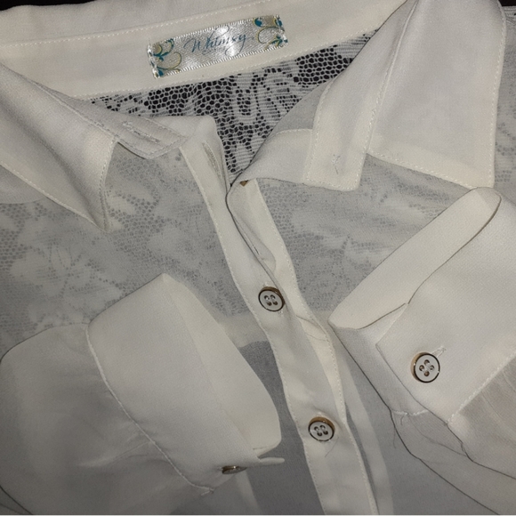 Whimsy Clothing Sheer Lace & Cut Out Back Chiffon - Picture 4 of 8